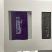 Springvale Homes Ltd